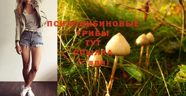 соль курить ск Коряжма