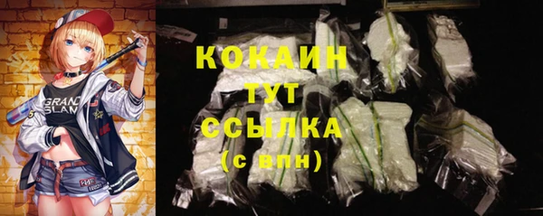 спиды Кодинск