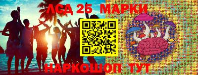 PSILOCYBIN Заводоуковск