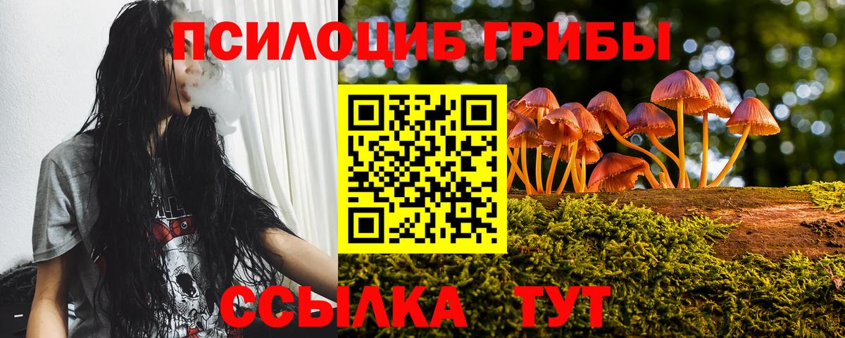 Псилоцибиновые грибы Psilocybine cubensis  дарнет шоп  Людиново  Вход с VPN  Псилоцибиновые грибы ЛСД 